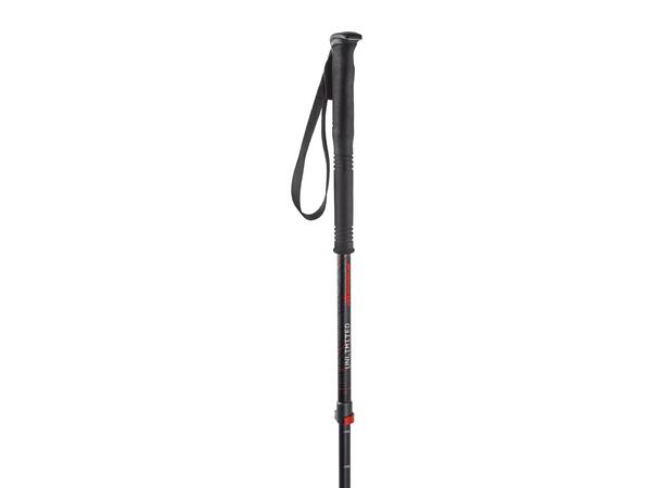 NORDICA FREERIDE UNLIMITED Svart Alpin teleskopstav unisex (1par)
