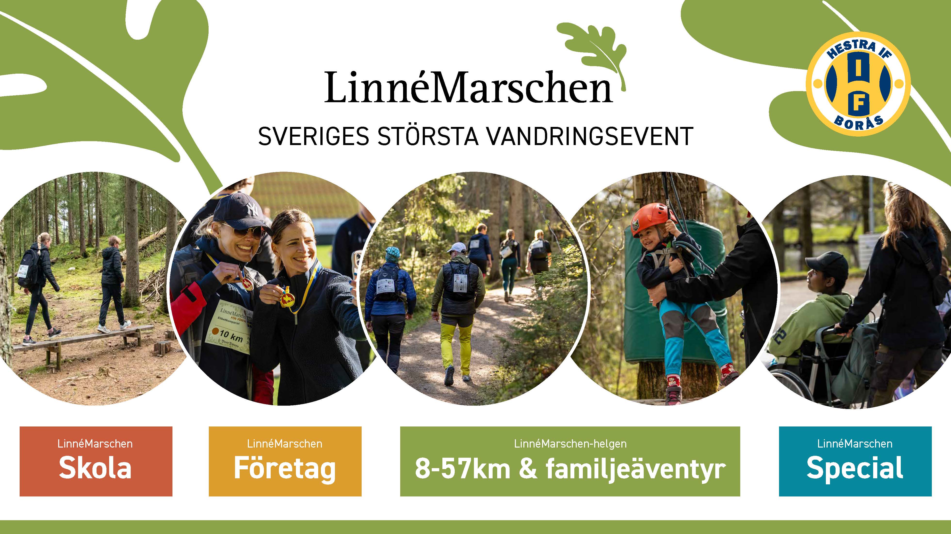 Black Friday kampanjrutor